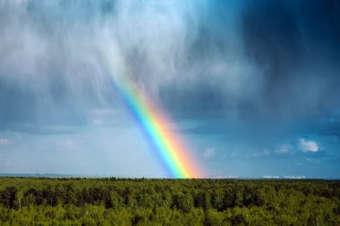 Yaz ormanı üzerinde gökkuşağı, açık gökyüzü ve açık gökkuşağı renkleri, orman yolu. Doğal bir manzara. Yağmurdan sonra gökkuşağının renkleri. Cumulonimbus bulutları.