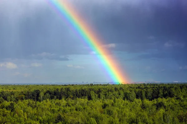 地平线上的彩虹七色彩虹在森林上方的天空中 美丽的云彩 — 图库照片