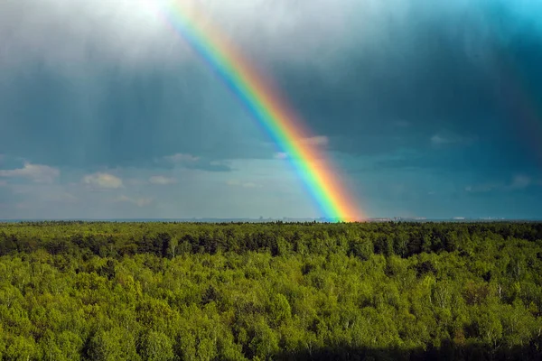 Rainbow over a summer pine forest, very clear sky and clear colors of the rainbow, forest road. Natural scenery. The colors of the rainbow after the rain. Cumulonimbus clouds.