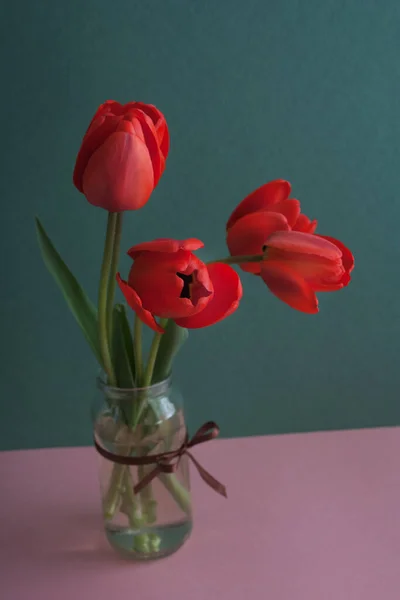 Bouquet of red tulip flowers on a dark green background. Spring holiday card. Dark exposition