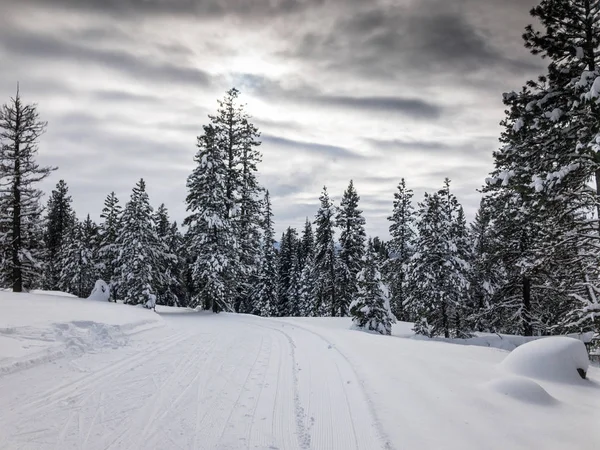 Langlaufloipe — Stockfoto