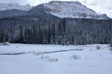 Kar üzerinden çalışan Nehri