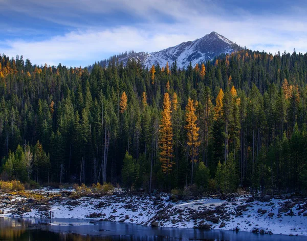 Tamaracks and Peak Stock Photo