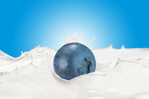 Bleuet frais avec éclaboussure de lait — Photo