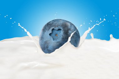 Sıçrama ile süt içine düşme yaban mersini