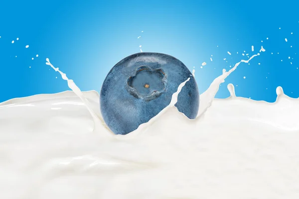 Blaubeere fällt mit Spritzer in Milch — Stockfoto