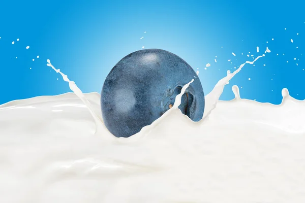 Bleuets tombant dans le lait avec éclaboussure — Photo