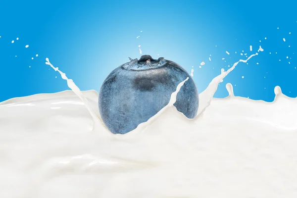 Που υπάγονται στο γάλα με παφλασμό βακκινίων — Φωτογραφία Αρχείου