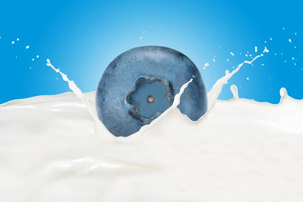 Blaubeere fällt mit Spritzer in Milch — Stockfoto