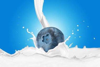 Sıçrama ile süt içine düşme yaban mersini