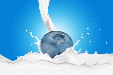 Sıçrama ile süt içine düşme yaban mersini