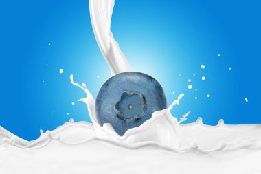 Sıçrama ile süt içine düşme yaban mersini