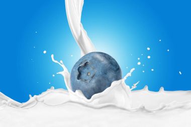 Sıçrama ile süt içine düşme yaban mersini