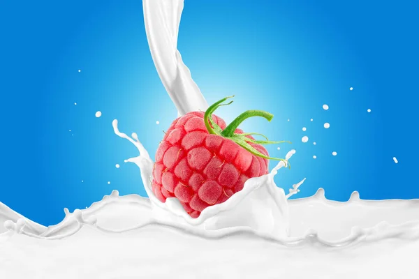 Raspberry in milk splash — Stock Photo, Image