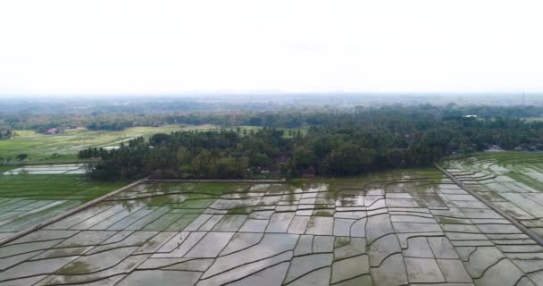 View Rice Terraces Hills Nanggulan — Stock Video