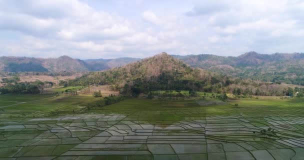 Vista Terraços Arroz Colinas Nanggulan — Vídeo de Stock