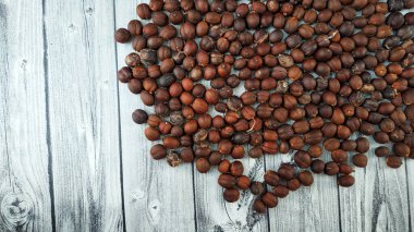 İşlenmemiş kahve çekirdekleri, hala saf.