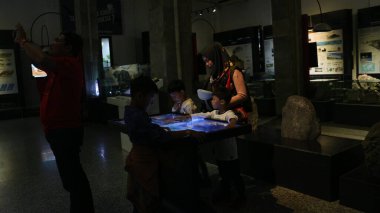 Bandung 'daki Jeoloji Müzesinde bulunan antik hayvan kemiklerinin fosilleri.