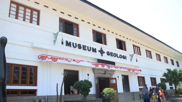 Fossiles Animaux Anciens Situés Musée Géologique Bandung — Photo