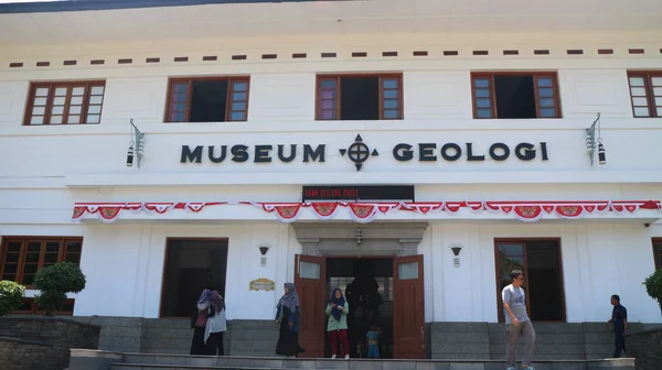 Fósseis Ossos Animais Antigos Localizados Museu Geológico Bandung — Fotografia de Stock