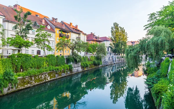 Bangunan di Ljubljana di pagi hari — Stok Foto