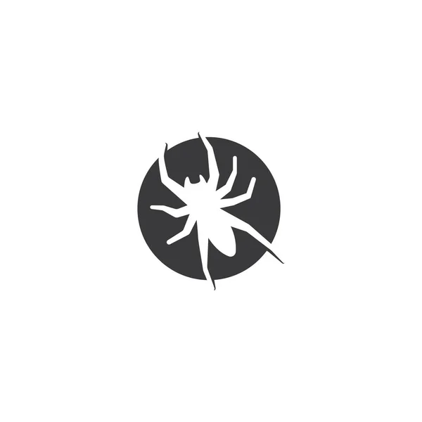 Ilustração de aranha logotipo vetor — Vetor de Stock