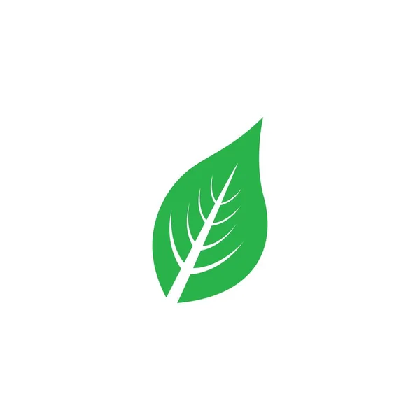 Eco Tree Leaf — стоковый вектор