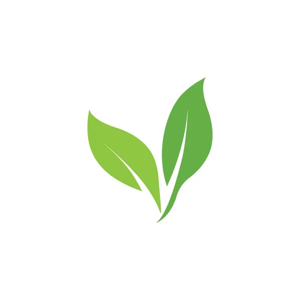 Φύλλο Eco Tree — Διανυσματικό Αρχείο