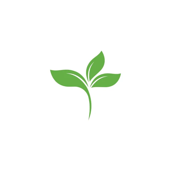 Logo hoja verde — Vector de stock