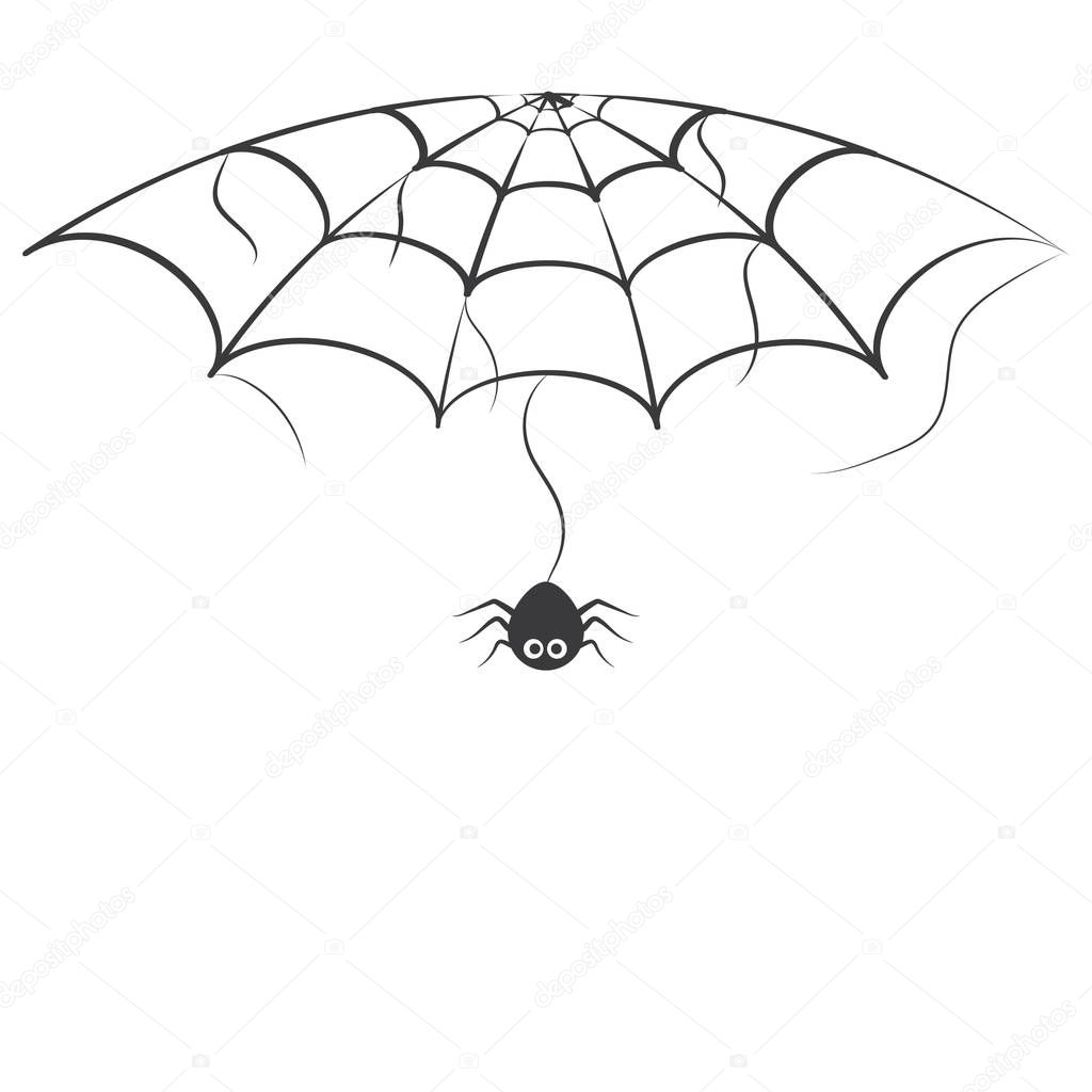 spider web  ilustration