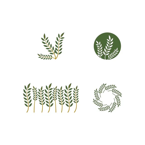 农业小麦标志模板 — 图库矢量图片