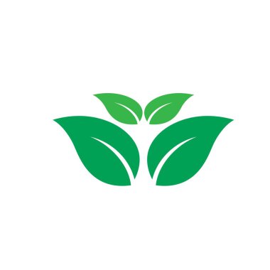 Eko Ağacı Yaprağı