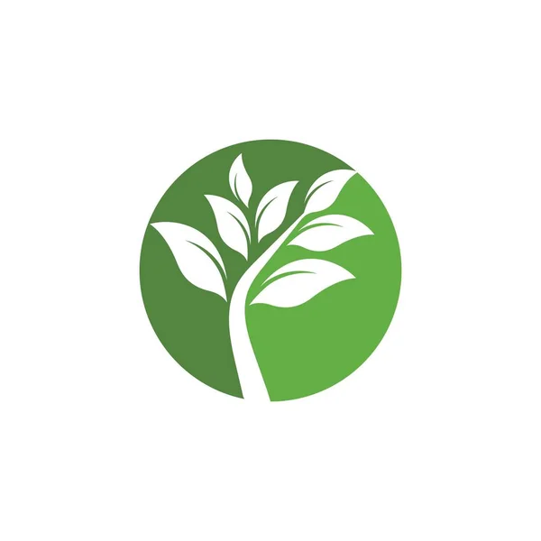 Φύλλο Eco Tree — Διανυσματικό Αρχείο