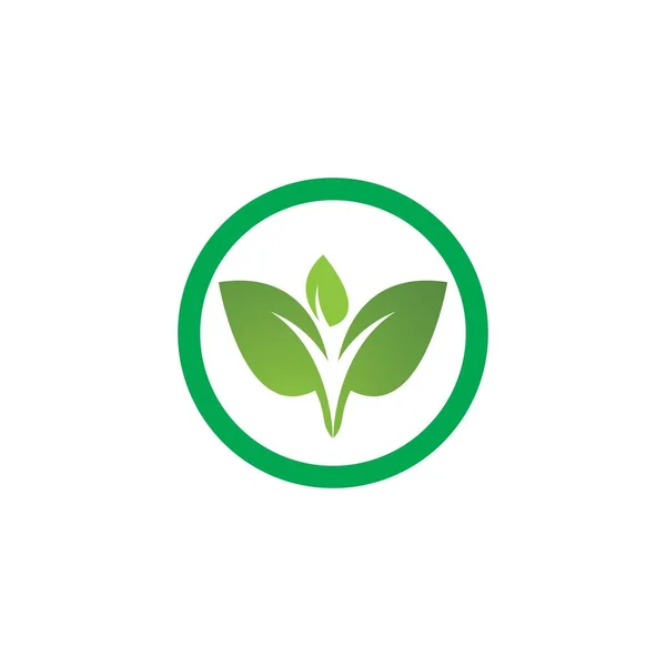 Eco Tree Leaf — Stock Vector