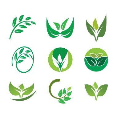 yaprak yeşil logo 