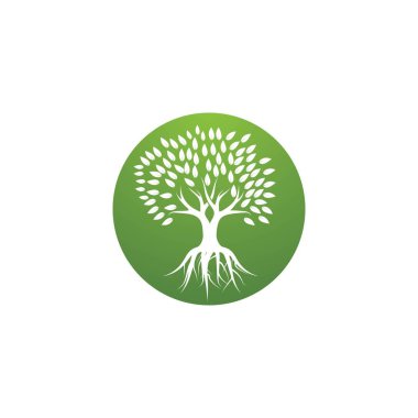 ağaç logo şablonu 