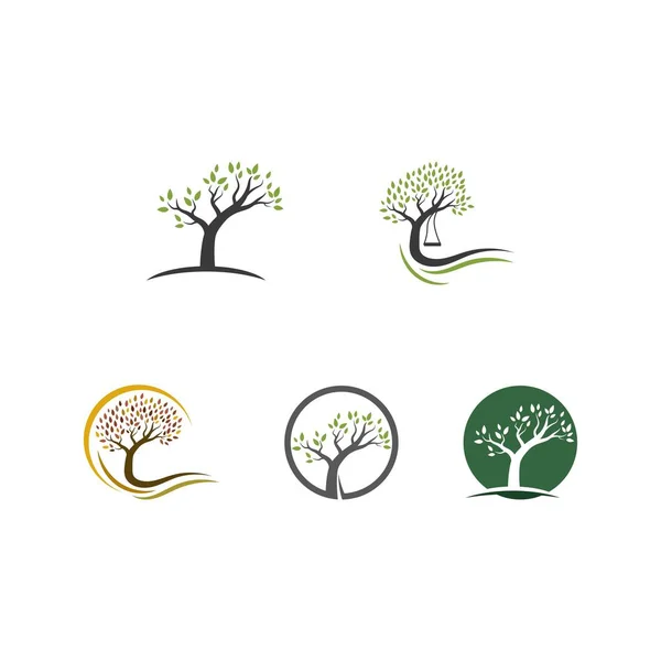 Baum-Logo-Vorlage — Stockvektor