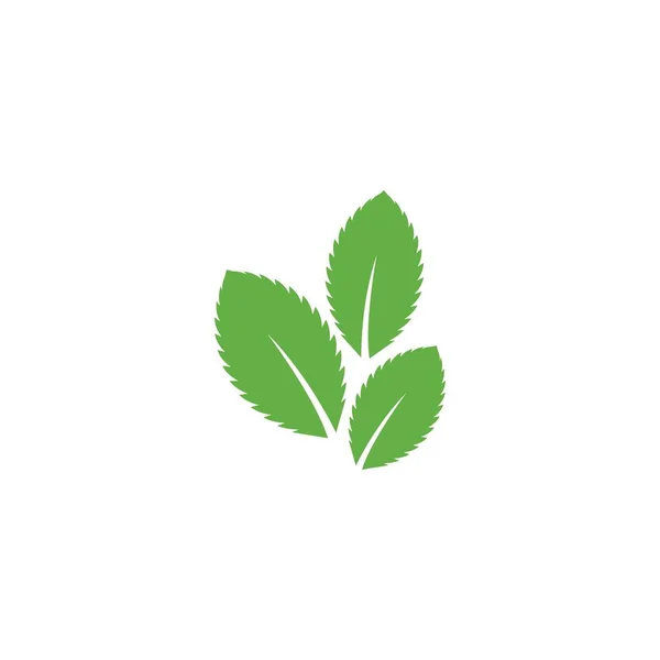 Logo hoja de menta — Archivo Imágenes Vectoriales