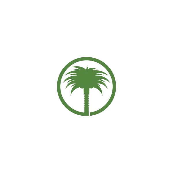 Date palm logo — 스톡 벡터