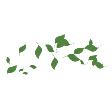 yaprakları arka plan 