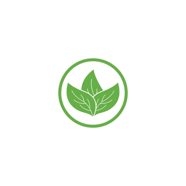 Logo foglia verde — Vettoriale Stock