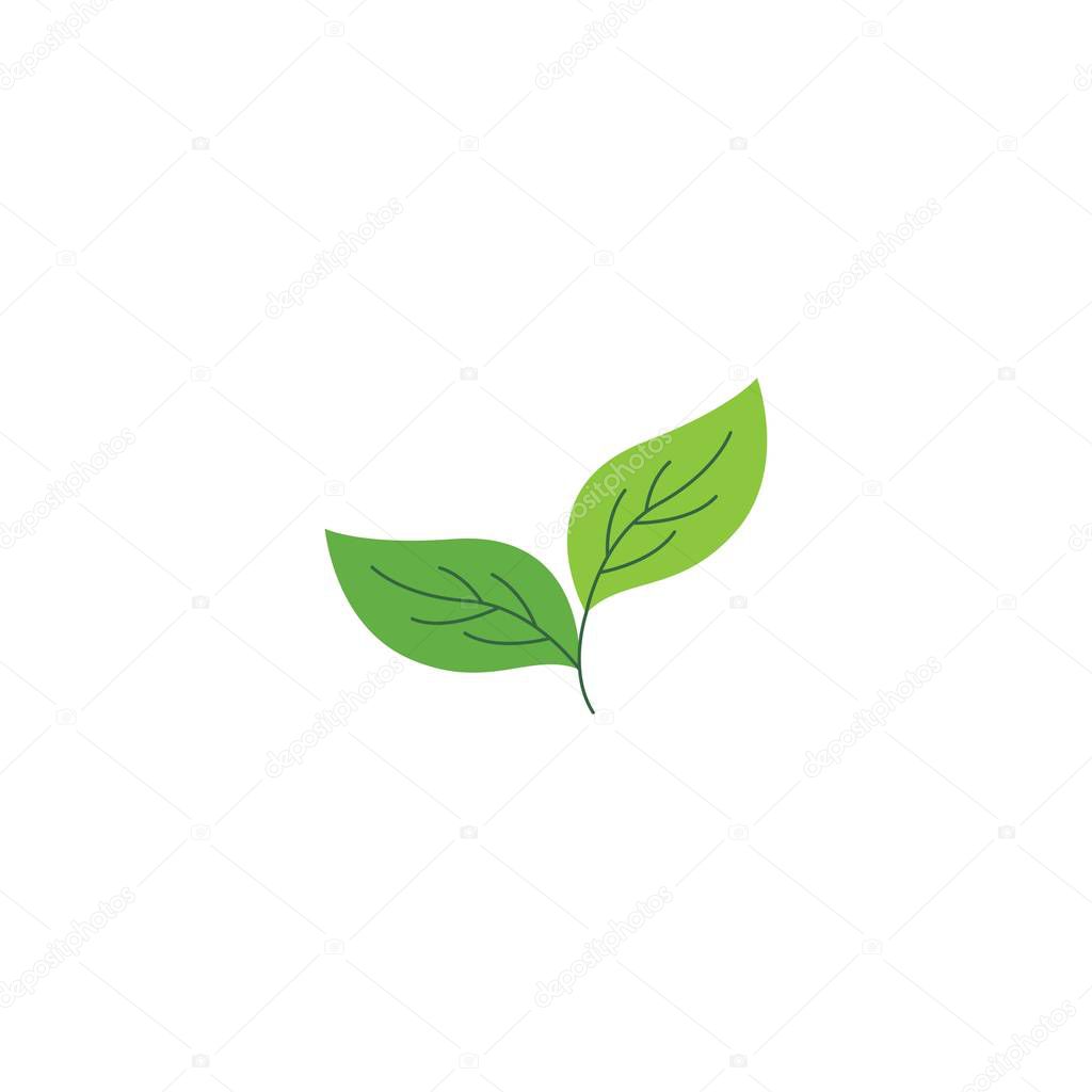 Green leaf logo