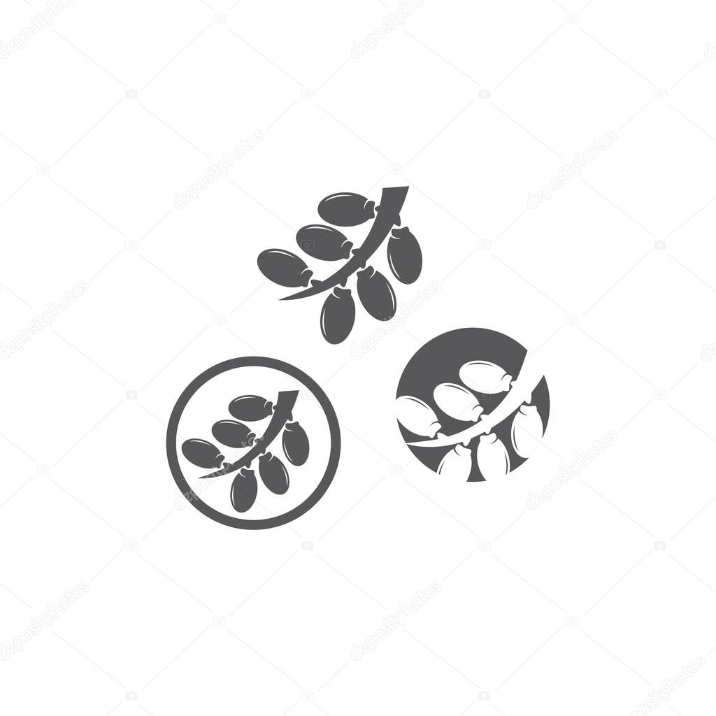 Date fruits logo illustration vector flat design
