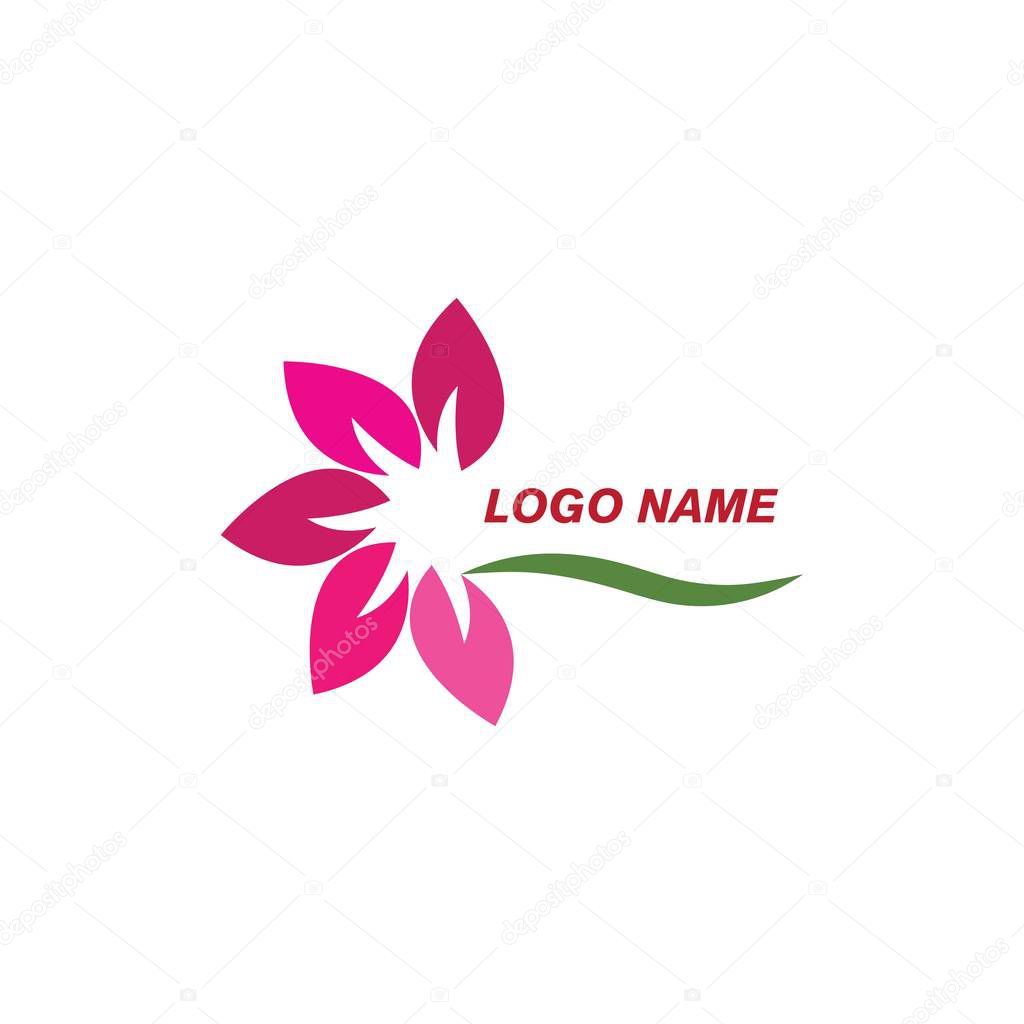 Plumeria flower logo template vector