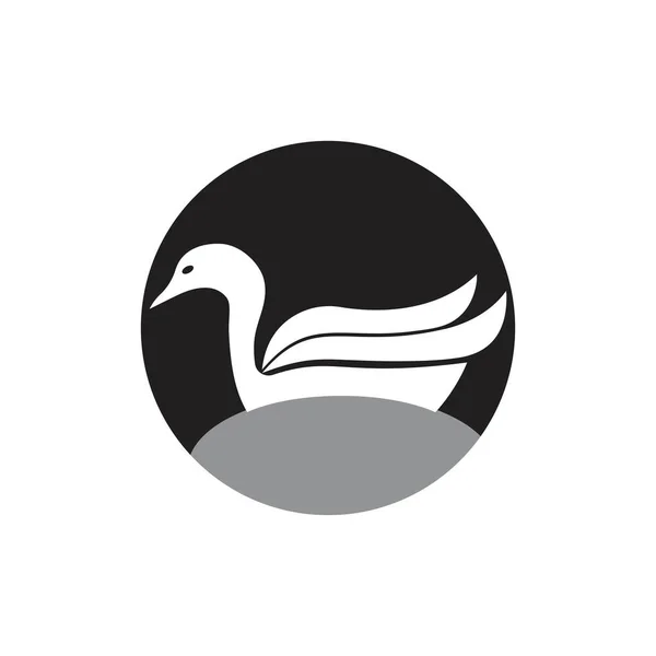 Лебідь шаблон логотип — стоковий вектор