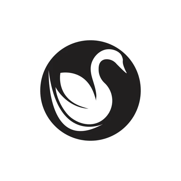 Modèle de logo de cygne — Image vectorielle