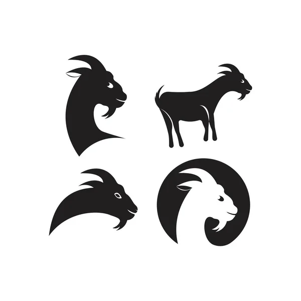 Modèle de logo de chèvre — Image vectorielle