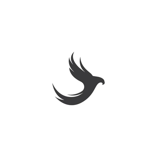 Vorlage für das Logo des Falkenadlers — Stockvektor