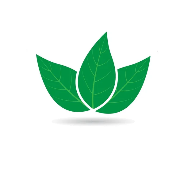 Logo hoja verde — Vector de stock