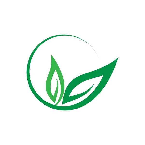Groene blad logo — Stockvector